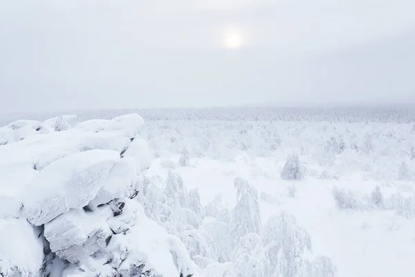 Vista Invierno Desde Cresta Rocosa Montaña Las Colinas Nevadas Boscosas — Foto de Stock