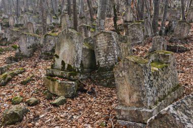 Bakhchisarai, Kırım - 25 Ocak 2021: Antik Karaim mezarlığında mezar taşları 
