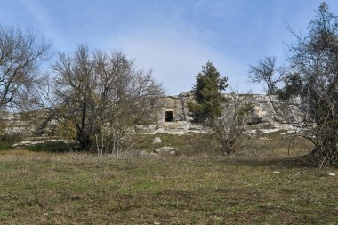 Arka planda kayalıklarda eski bir mağara olan manzara.