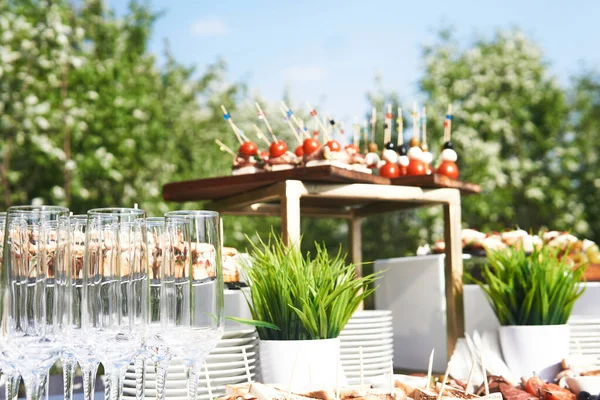 Outdoor Buffet Table Glasses Cold Snacks Start Holiday Background Flowering — 스톡 사진