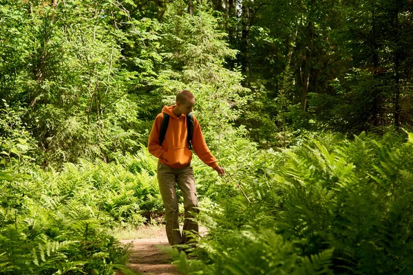 Tienermeisje Buiten Een Bos Park Tussen Varens — Stockfoto