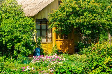 Güneşli bir yaz gününde bir köy evinin önündeki bahçe.