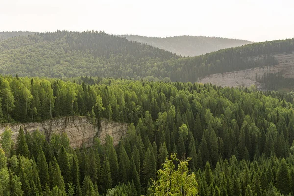 Dalgaya benzeyen kireçtaşı kayalıkları olan güzel doğal orman manzarası