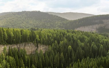 Dalgaya benzeyen kireçtaşı kayalıkları olan ormanlık bir tepe.