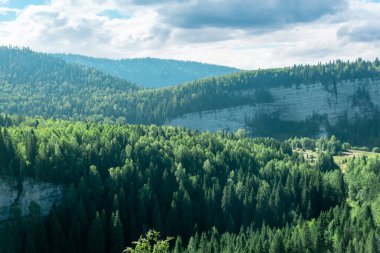 Dalgaları andıran kayalarla kaplı ormanlık bir tepe.