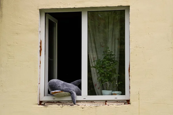 Perm Russia 2021年8月23日 おもちゃのサメが窓からのぞき見 — ストック写真