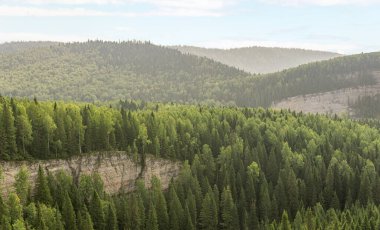 Dalgaları andıran kayalarla kaplı ormanlık bir tepe.