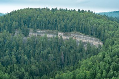 Kireçtaşı kayası olan ormanlık bir tepe.