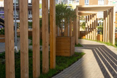 Bir şehir evinin avlusunda peyzaj tasarımı unsurları