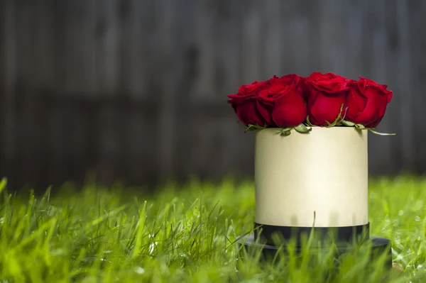 Red roses bouquet in white gift box on the background of green grass.