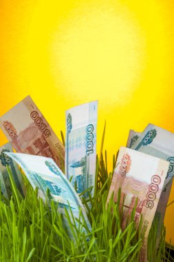 Yeşil çim Rublesi banknotlar