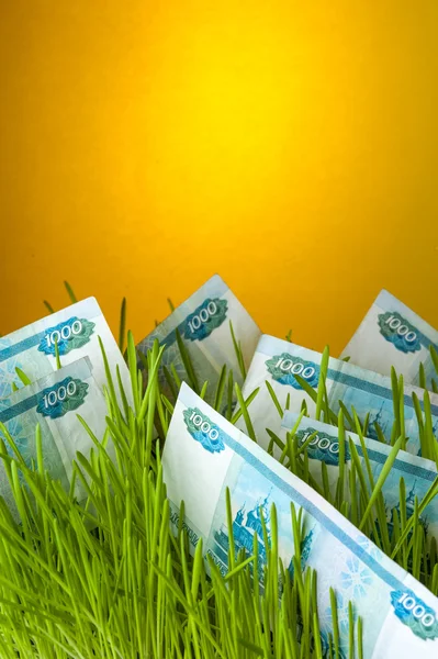 녹색 잔디에 루블 지폐 — 스톡 사진