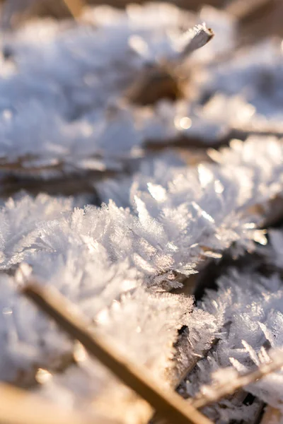 Beautiful ice flakes and hoarfrost flakes