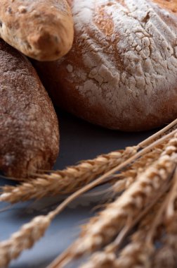 Taze pişmiş beyaz un ekmeği.