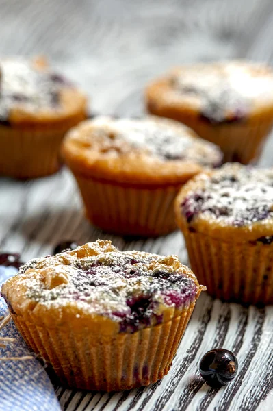 Muffins met zwarte krenten — Stockfoto