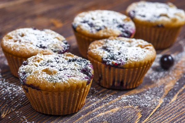 Muffins con grosellas negras — Foto de Stock