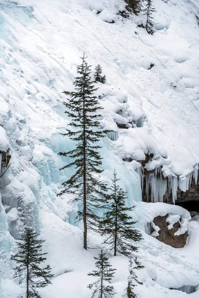 Малюнок напрямку Kananaskis країни — стокове фото