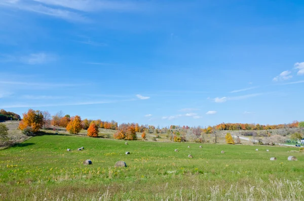 Image de la journée d'automne — Photo