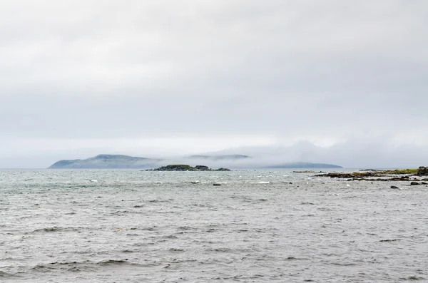 Côte de Terre-Neuve en été — Photo