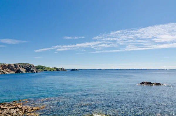 Newfoundland kıyıları — Stok fotoğraf