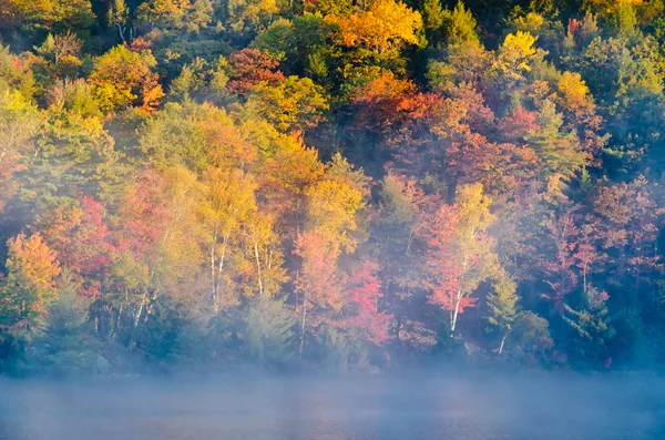 Orman göl üzerindeki gündoğumu — Stok fotoğraf