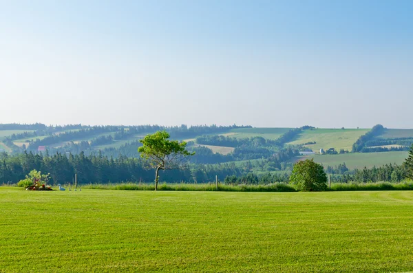 Vista de campos e florestas — Fotografia de Stock