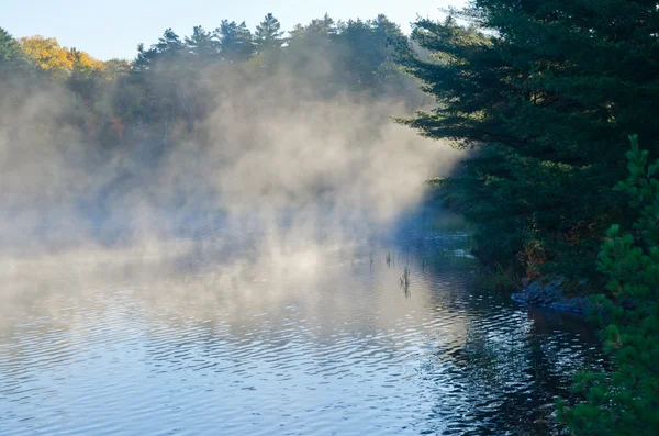 森の湖の上の日の出 — ストック写真