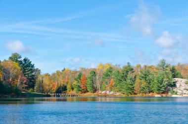 Orman göl üzerindeki gündoğumu