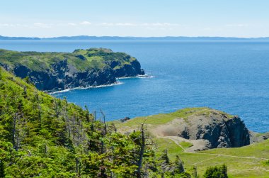 Newfoundland kıyıları
