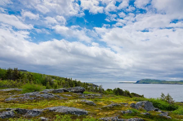 Gambar pantai Newfoundland — Stok Foto