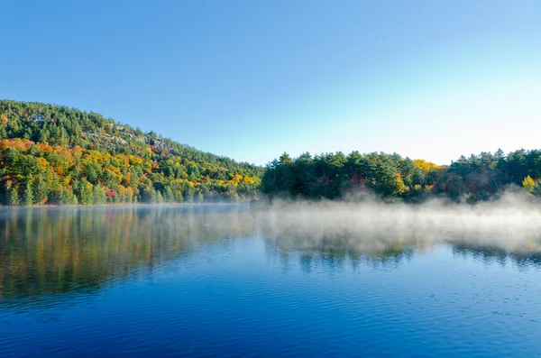 Sonnenaufgang über dem Waldsee — Stockfoto