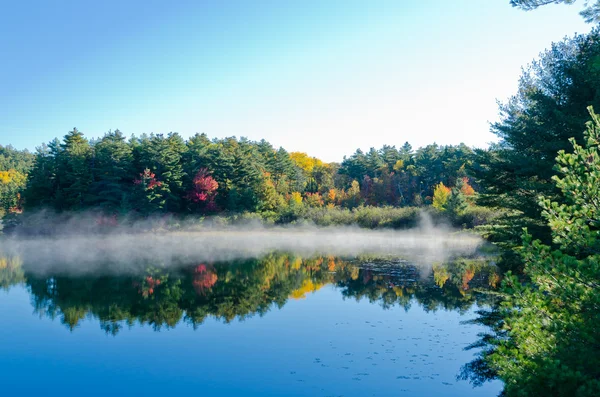 Orman göl üzerindeki gündoğumu — Stok fotoğraf