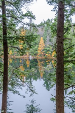 Algonquin Park Lake