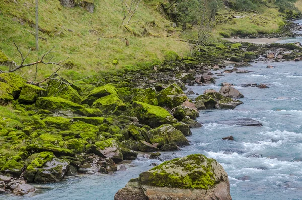 Bild av floden berg — Stockfoto