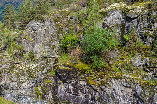 A kő fal kép — Stock Fotó