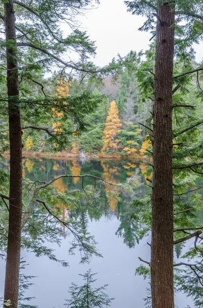 Lago no parque algonquin — Fotografia de Stock