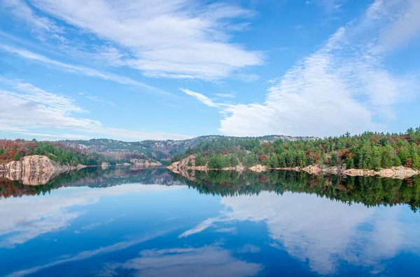 Imagen del lago Bosque — Foto de Stock