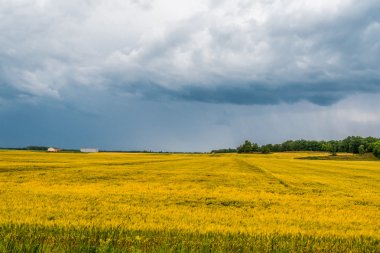 Fırtına bulutları yer üstünde
