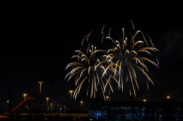 Color fireworks on black sky — Stock Photo, Image