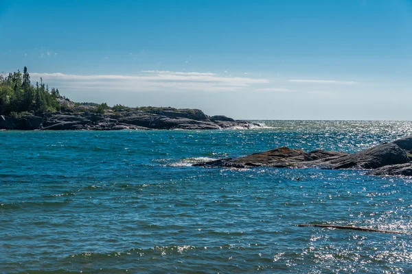 Drivved på sandstrand — Stockfoto