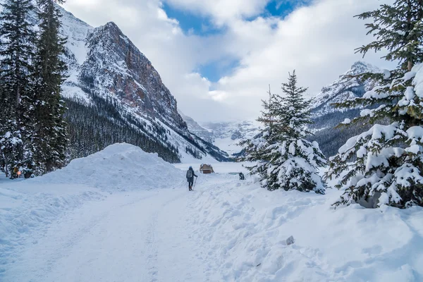 Foto de Lake Louise — Foto de Stock