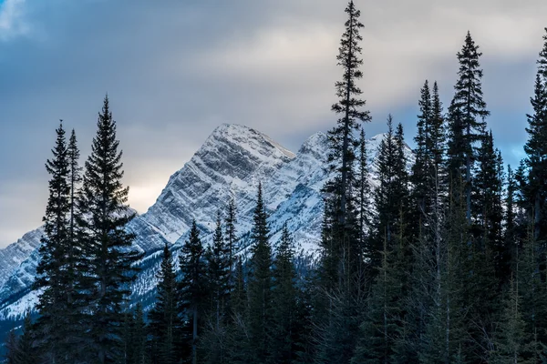 Imagem de Kananaskis Country — Fotografia de Stock