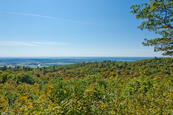 Höstens färger. Quebec. — Stockfoto