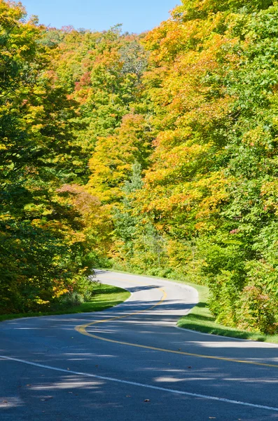 Autumn colors and road — Stock Photo, Image