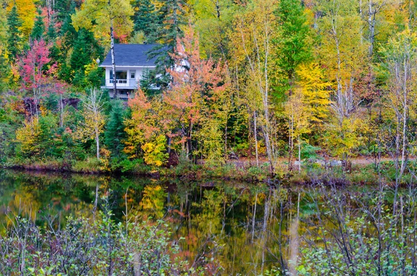 Lesní jezero v Quebecu — Stock fotografie