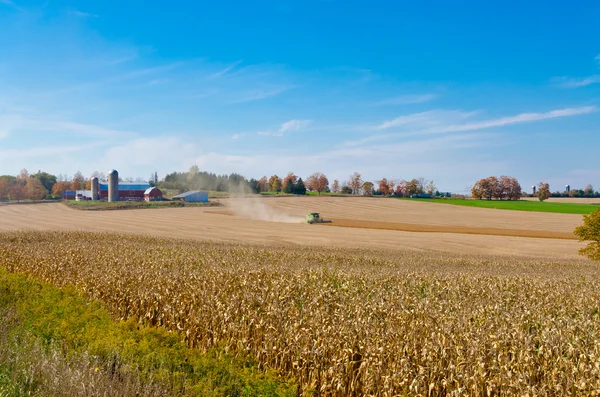 Veld in herfstdag — Stockfoto