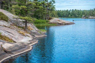 Yaz mevsiminde Forest Gölü. Grundy Lake Parkı. Kanada