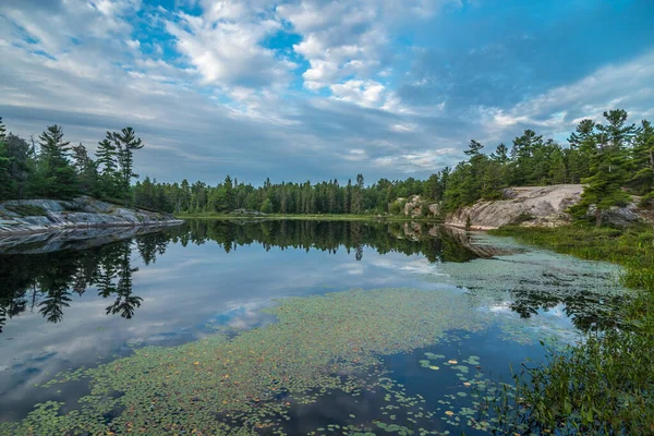 Yaz Mevsiminde Forest Gölü Grundy Lake Parkı Kanada — Stok fotoğraf