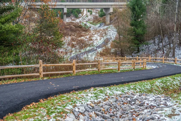 Neve Chão Floresta Tempo Inverno — Fotografia de Stock