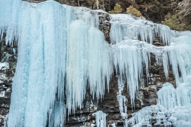 Banff Park, Alberta, Kanada 'daki Johnston Şelalesine giden yol